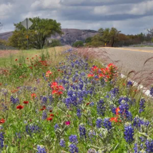 Texas Hill Country Tour