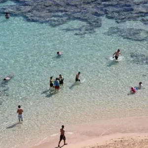 Package including Hanauma Bay admission and transport