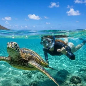 Snorkeler swimming near green sea turtles in clear water