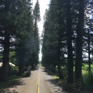 Day trip on Road to Hana from Kahului