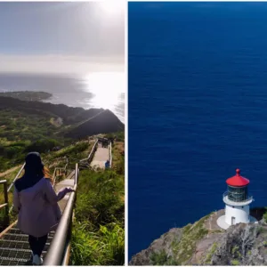 Diamond Head Crater hike with panoramic Waikiki views