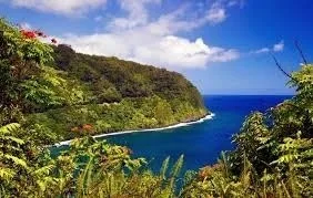 Luxury SUV driving along lush Hana rainforest road