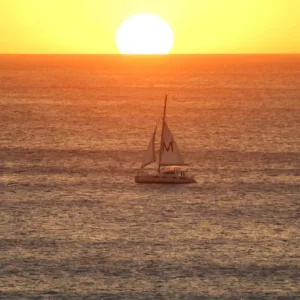 Sunset sailboat cruise with ocean wildlife sightings