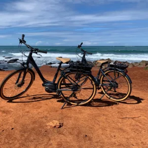 Group of riders on electric bikes touring tropical area