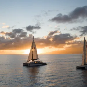 Sunset sail with hot and cold hors d'oeuvres served