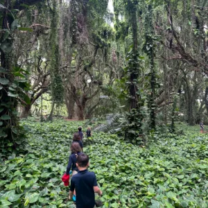 Children participating in summer nature adventure camp