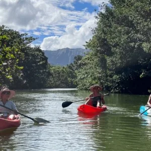 Kayaker paddling on a calm river with mountain views