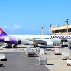 Driver greeting traveler at Honolulu airport baggage claim