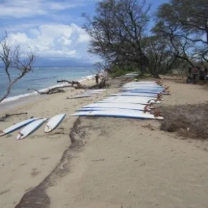 Surfboards displayed for rental near vans in parking lot