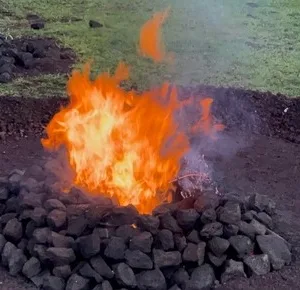 Guests observing traditional Hawaiian imu cooking preparation