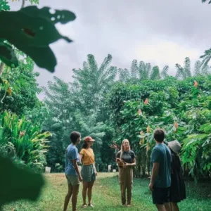 Private tour vehicle parked near a Hawaiian botanical garden